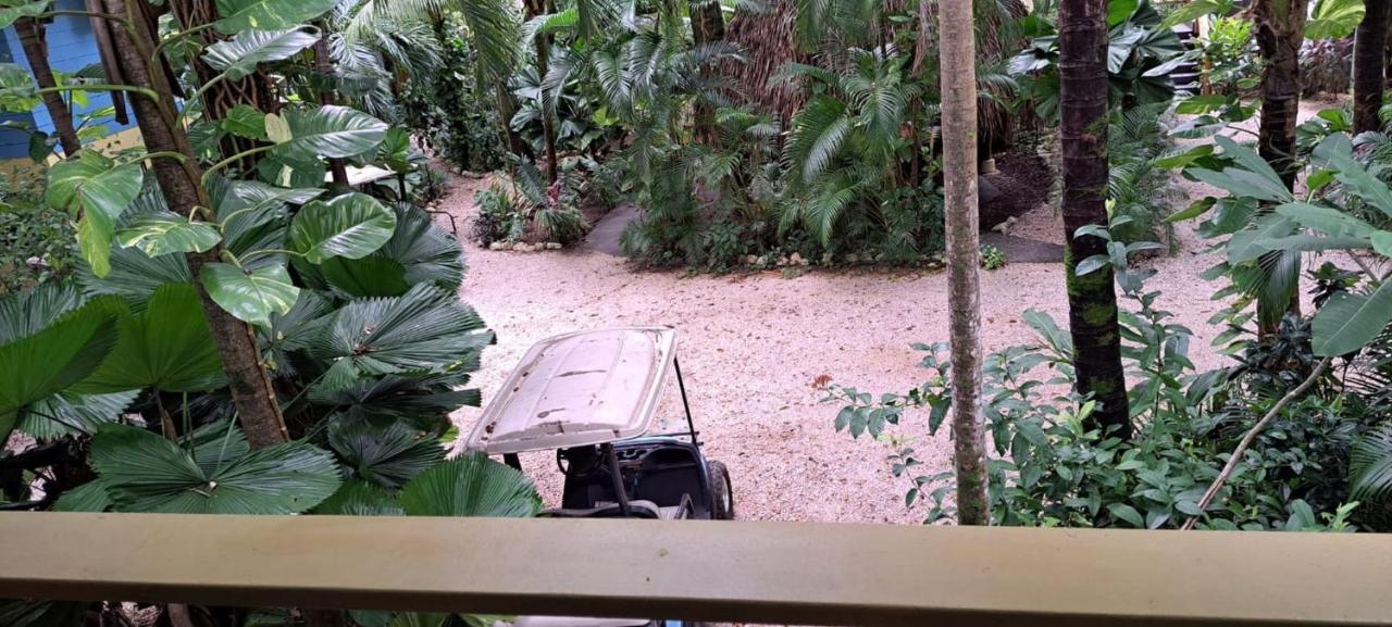 Nosara Paradise Rentals Bagian luar foto